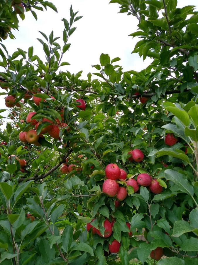Chales Manaca Da Serra Urubici Εξωτερικό φωτογραφία